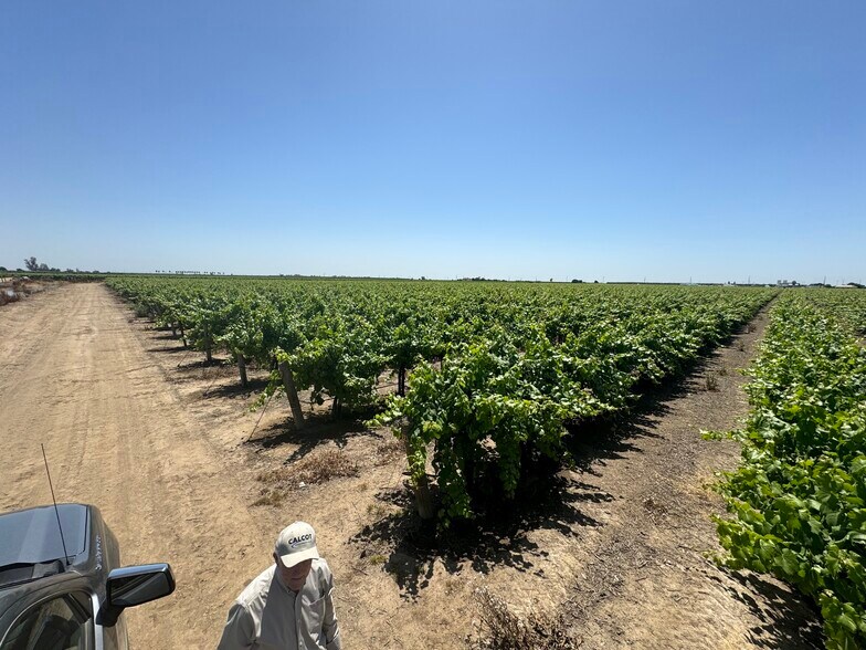 More Photos Of 25203 Road 212, Lindsay Land For Sale