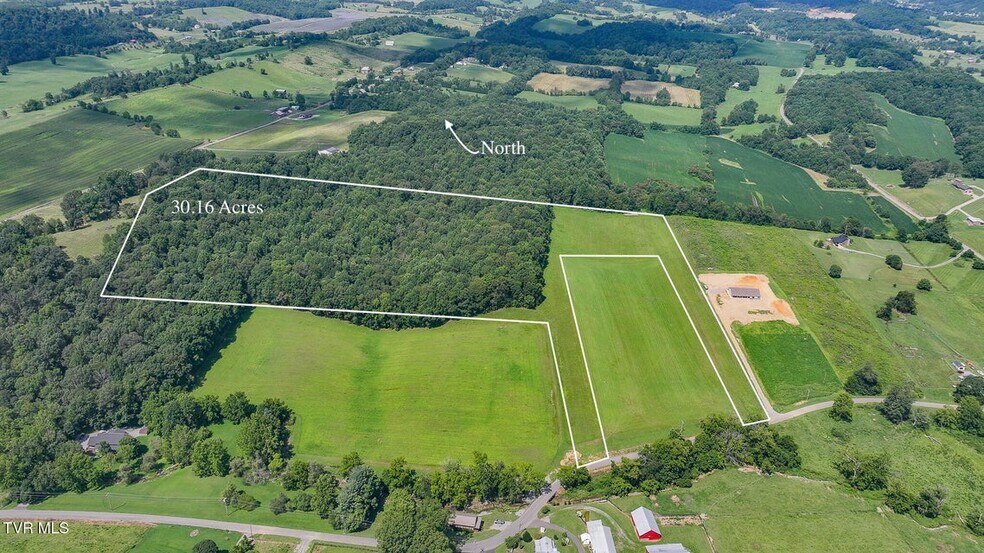 Primary Photo Of 170 McCall Rd, Limestone Land For Sale