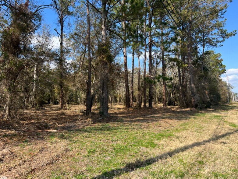 More Photos Of 3855 Darien Hwy, Brunswick Land For Sale