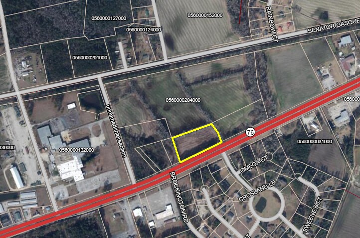 More Photos Of 40 Acres Highway 76, Mullins Land For Sale