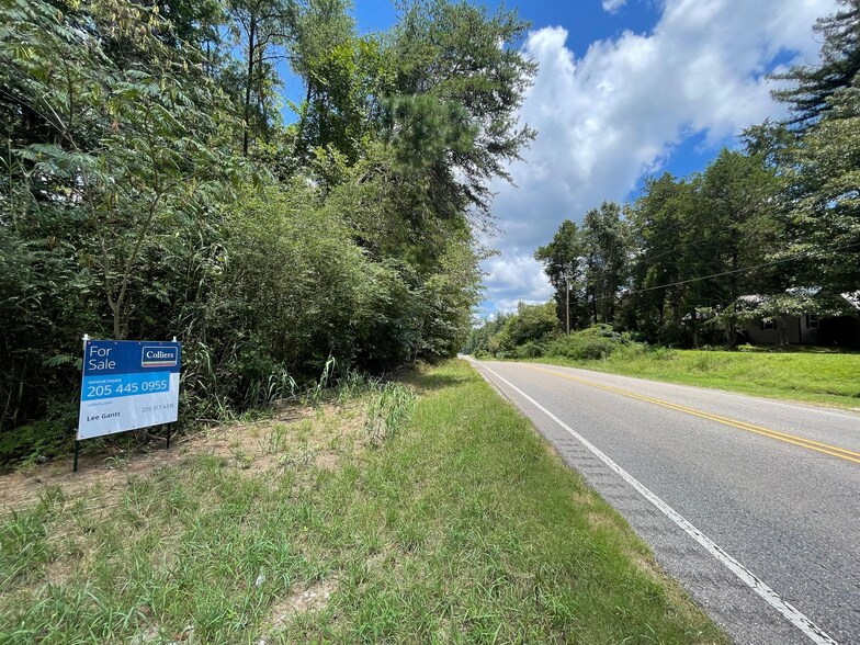 Primary Photo Of 23034 Highway 25, Columbiana Land For Sale