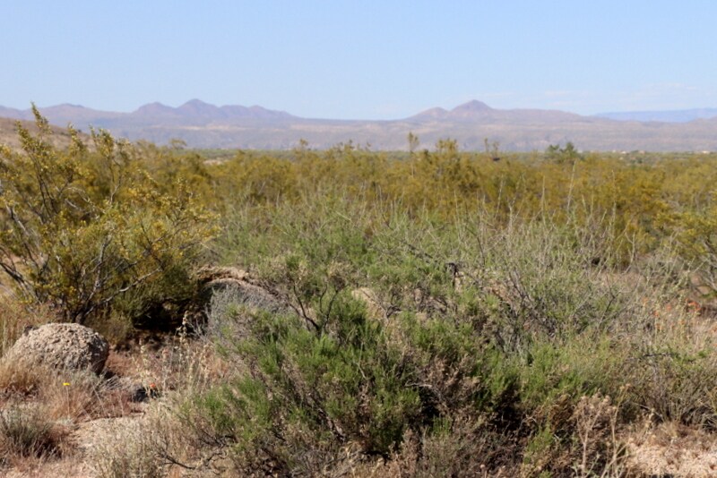 More Photos Of 12880 E Jomax Rd, Scottsdale Land For Sale