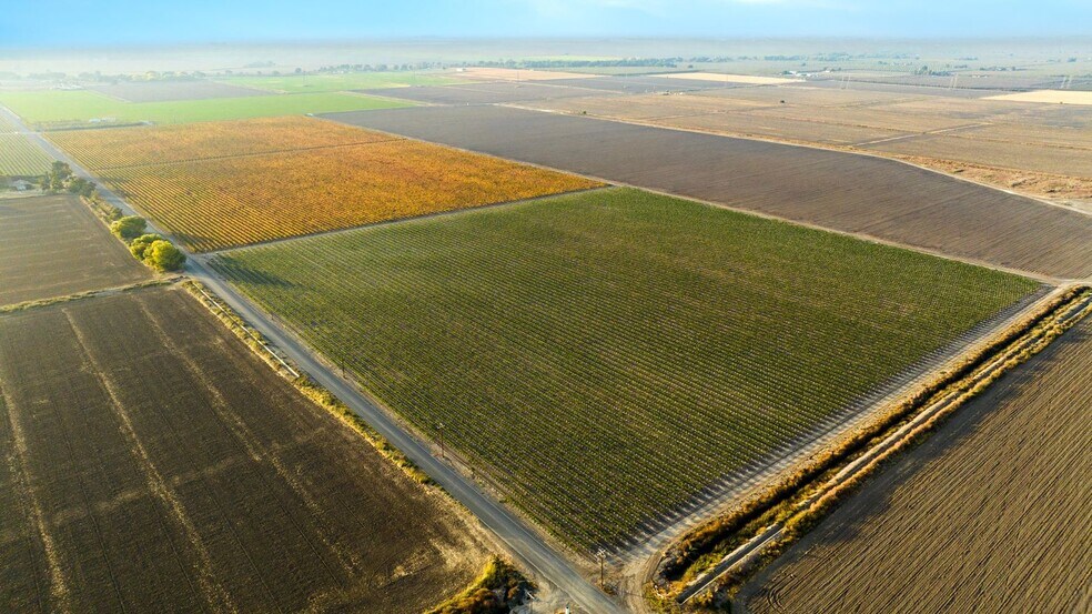 More Photos Of Claussen Ranch Vineyard, Stockton Land For Sale