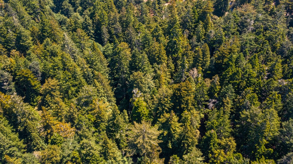 More Photos Of 33170 Frog Pond rd, Little River Land For Sale