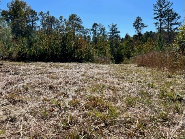 More Photos Of 5211 Donna Rd, Douglasville Land For Sale