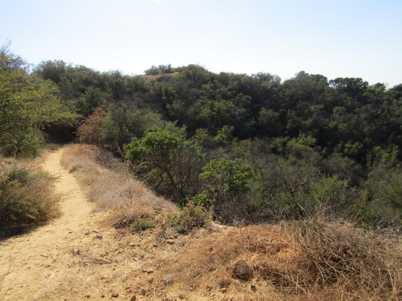 More Photos Of 2693 Old Topanga Canyon Rd, Topanga Land For Sale