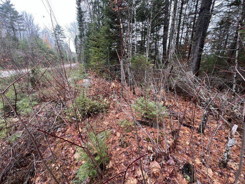 More Photos Of Gray Fox Road, Effingham Land For Sale