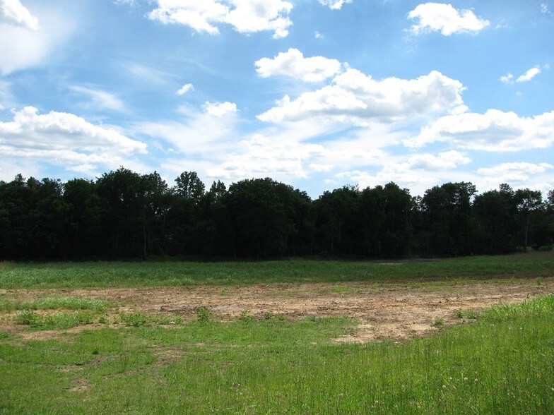 More Photos Of 314 S Palmer St, Adamsville Land For Sale