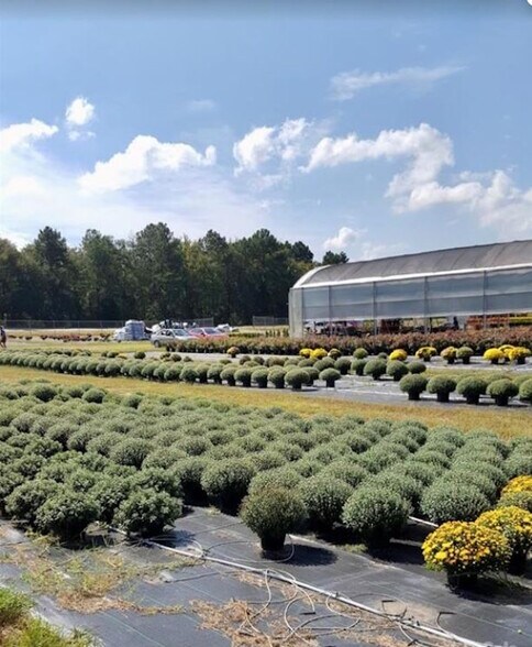 Primary Photo Of 32544 SC-9, Pageland Land For Sale