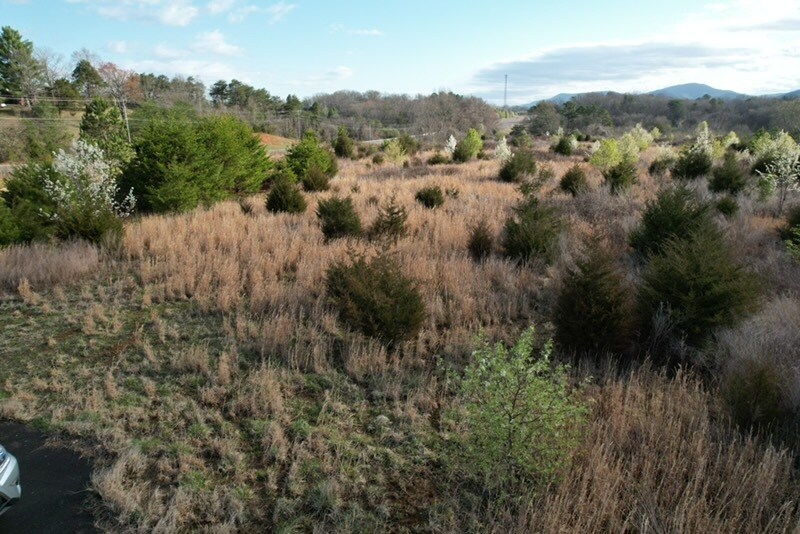 More Photos Of 7326 U.S. 411, Benton Land For Sale