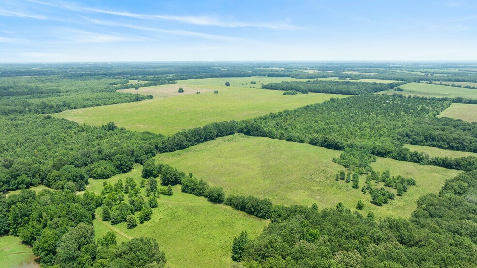 More Photos Of 449 County Road 1357, Clarksville Land For Sale