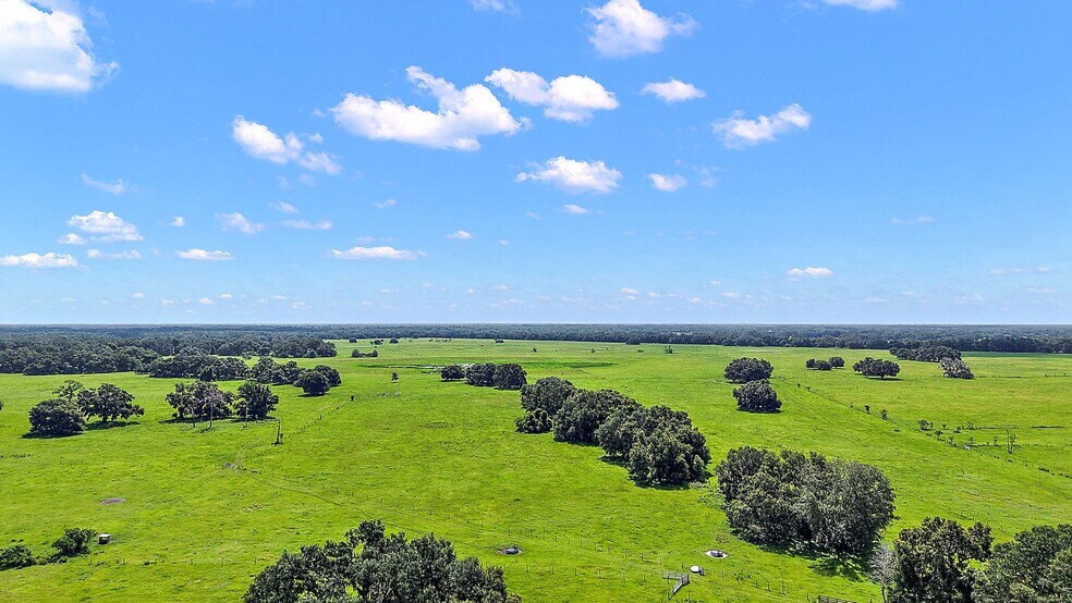 More Photos Of 8919 State Road 471, Webster Land For Sale