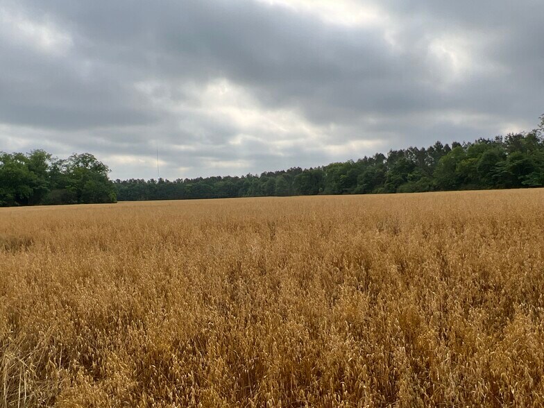 More Photos Of 2833 Omussee Rd, Dothan Land For Sale