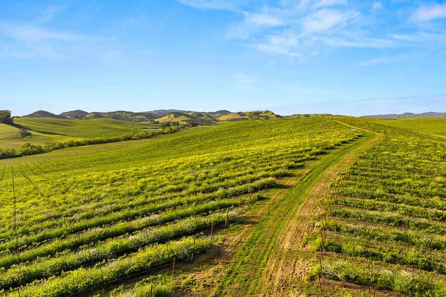 More Photos Of 2750 Las Amigas Rd, Napa Winery Vineyard For Sale