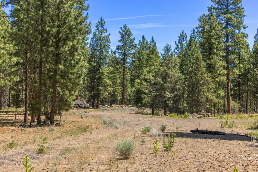 More Photos Of 0 Blue Wing Street, Keno Land For Sale