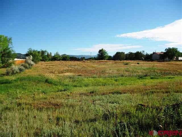 More Photos Of 277 County Route 233, Durango Land For Sale