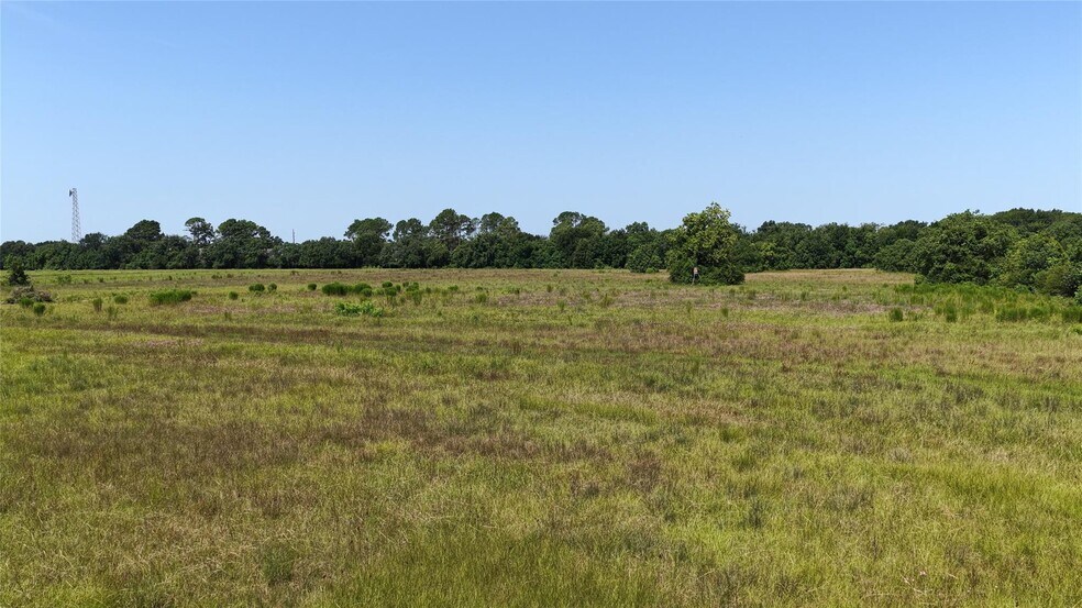 More Photos Of 15925 Merle Rd, Cypress Land For Sale