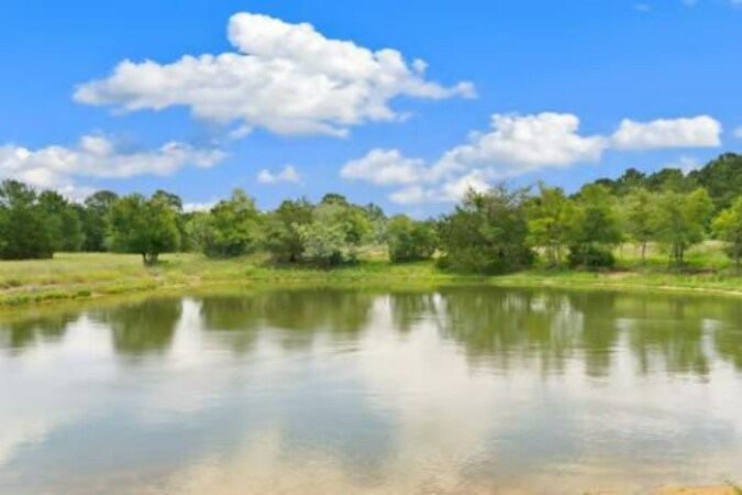 More Photos Of 705 Antioch Rd, Paige Land For Sale