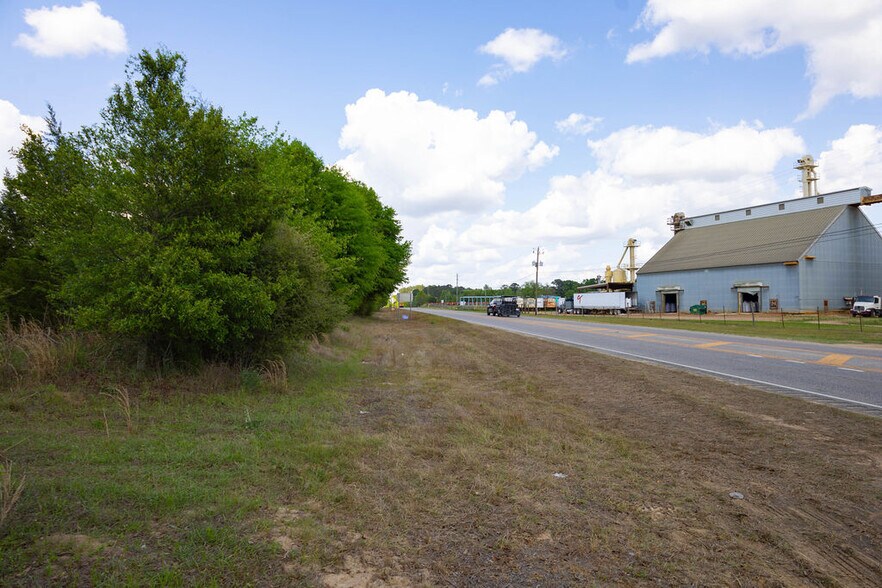 More Photos Of US 84 hwy, Newton Land For Sale