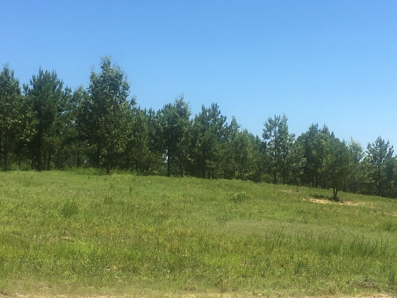 More Photos Of River Ridge Ln, Silverstreet Land For Sale
