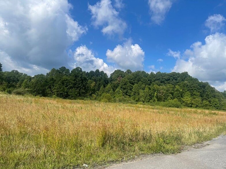 More Photos Of Virginia Hut St, Oak Hill Land For Sale