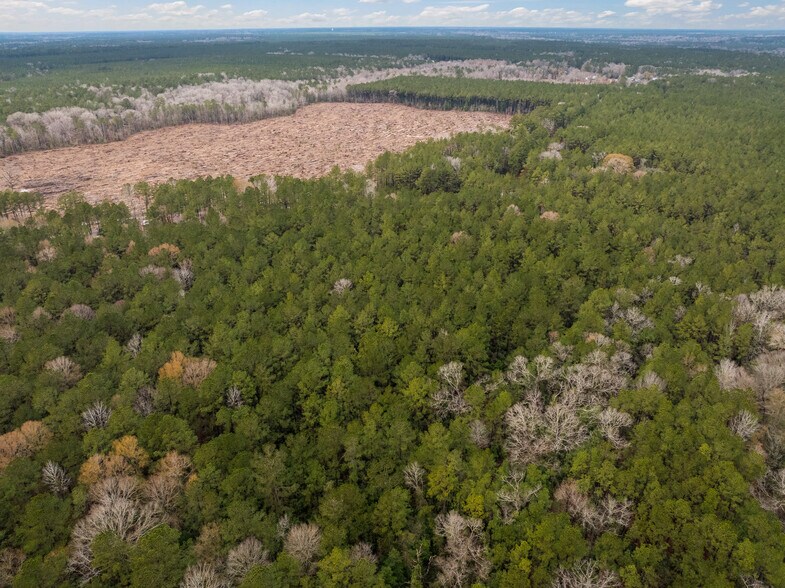 More Photos Of TBD 11 acres Tatoo Rd, Glenmora Land For Sale