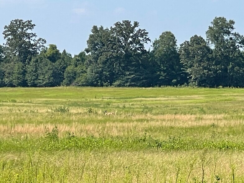 More Photos Of 17192 Co 21 rd, Marion Junction Land For Sale