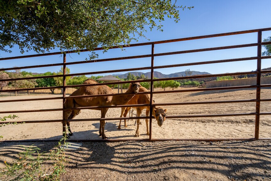 More Photos Of 38831 Pauba Rd, Temecula Land For Sale