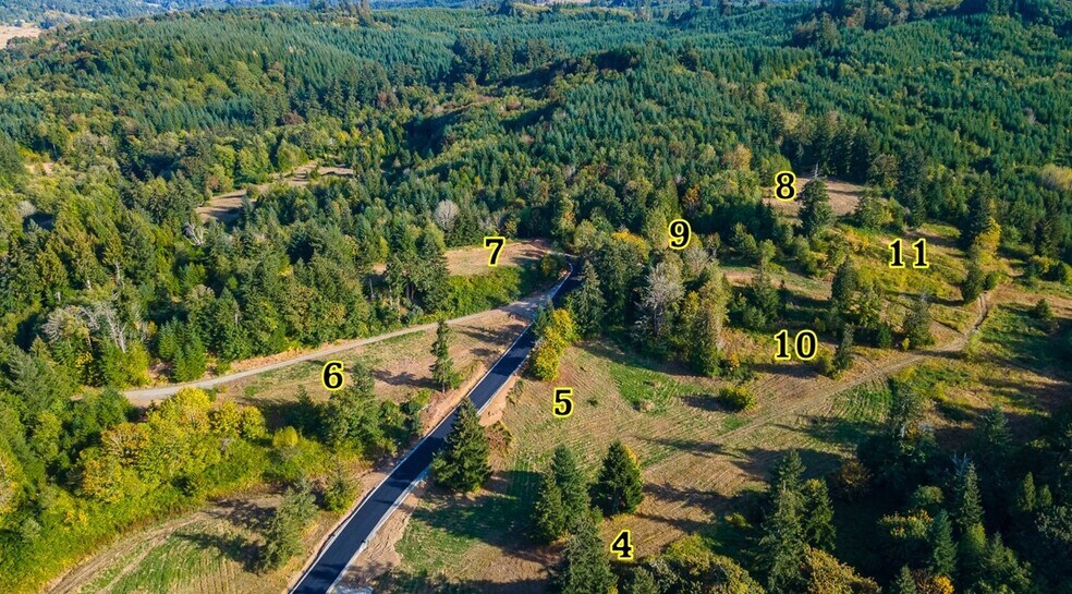 More Photos Of 0 Salzer Creek (was Fair St), Centralia Land For Sale