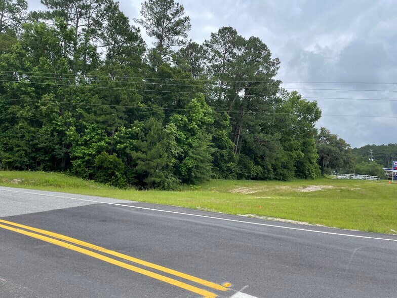 More Photos Of 425 Old River Rd, Bloomingdale Land For Sale