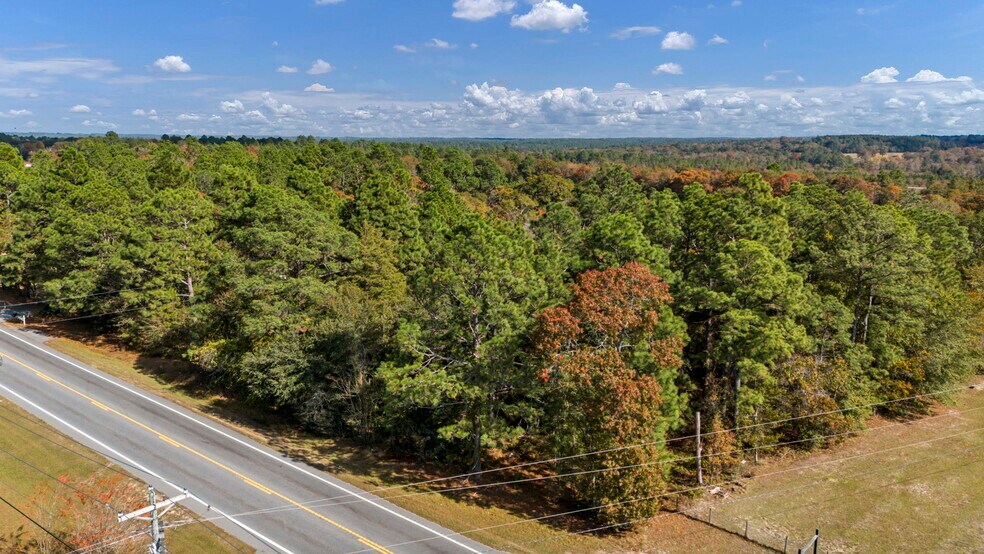 More Photos Of 00 Edmund Hwy, Pelion Land For Sale