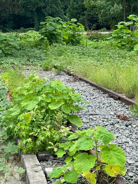 More Photos Of 3210 Moon Station Rd, Kennesaw Industrial For Sale