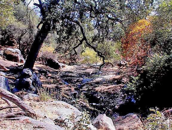 More Photos Of 38176 Cardinal, Yokuts Valley Land For Sale