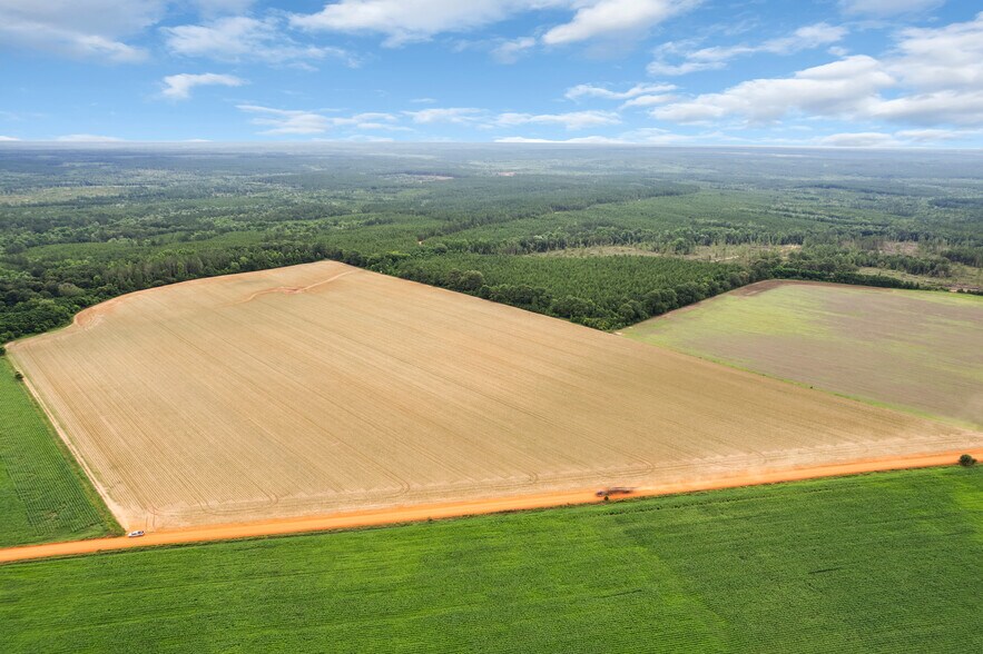 More Photos Of 0 Old Stage rd, Repton Land For Sale