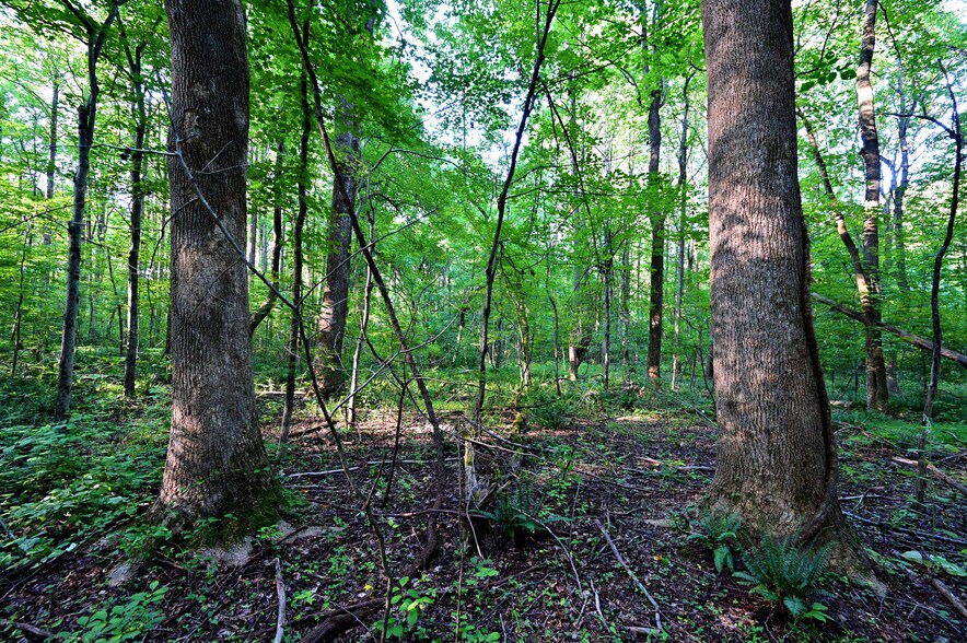 More Photos Of Richard Allen St, Aquasco Land For Sale