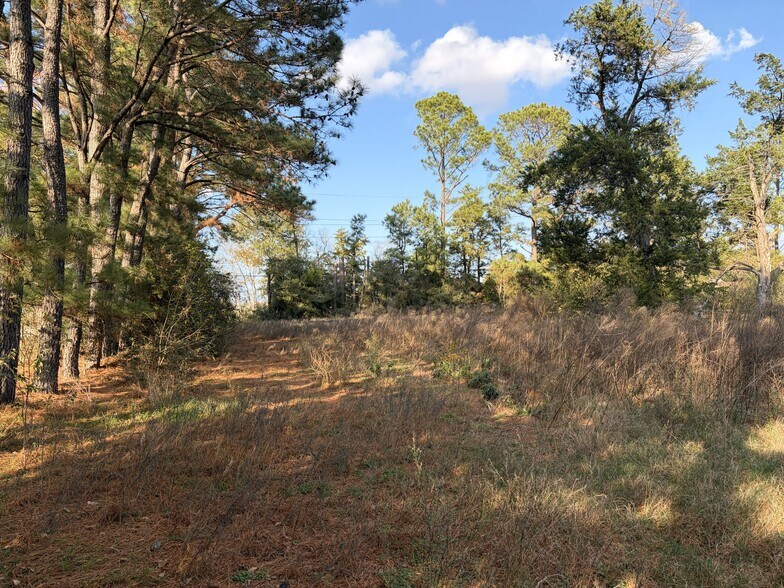 More Photos Of 2995 Pecan Ave, Waller Land For Sale