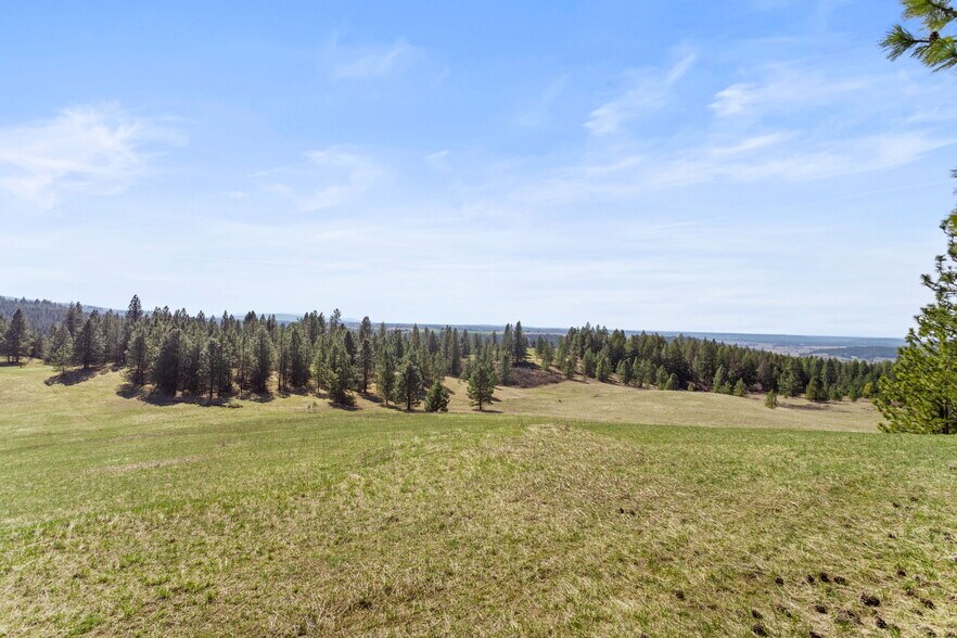 More Photos Of 15809 N Scribner Branch Rd, Spokane Land For Sale