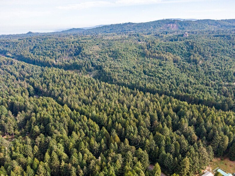 More Photos Of 1155 Patricks Point, Trinidad Land For Sale