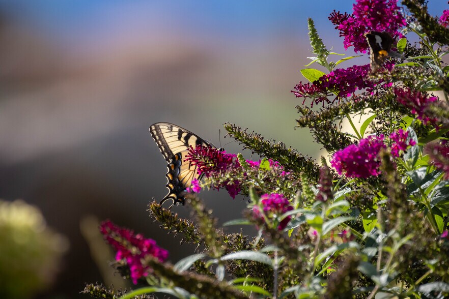 More Photos Of 6572 Burkemont Rd, Morganton Specialty For Sale