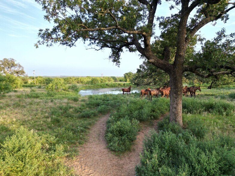 More Photos Of 951 FM 1476, Dublin Land For Sale