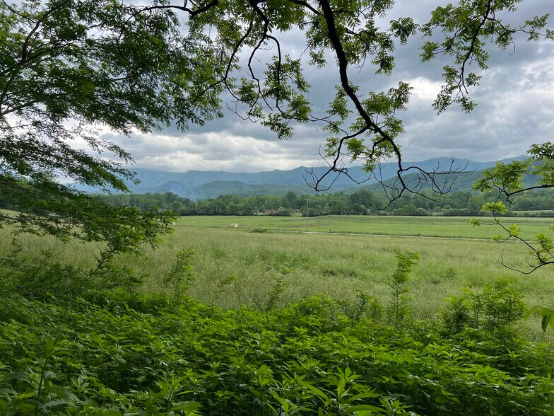 More Photos Of 6387 Airport Rd, Andrews Land For Sale