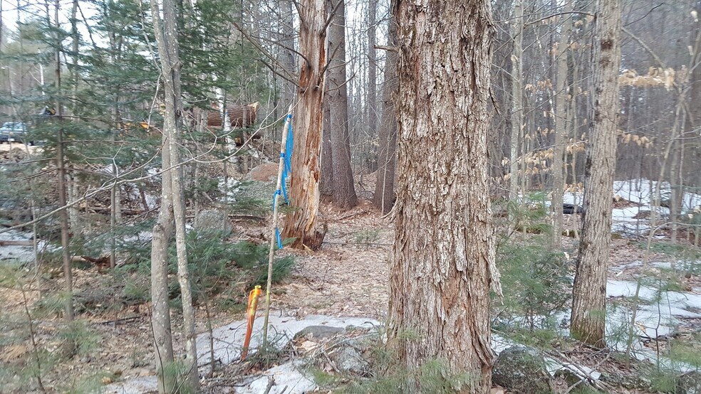 More Photos Of 200 North Rd, North Sutton Land For Sale