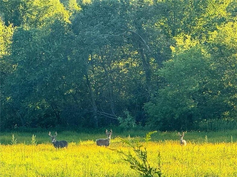 More Photos Of N3739 Bear Pen Rd, Arkansaw Land For Sale