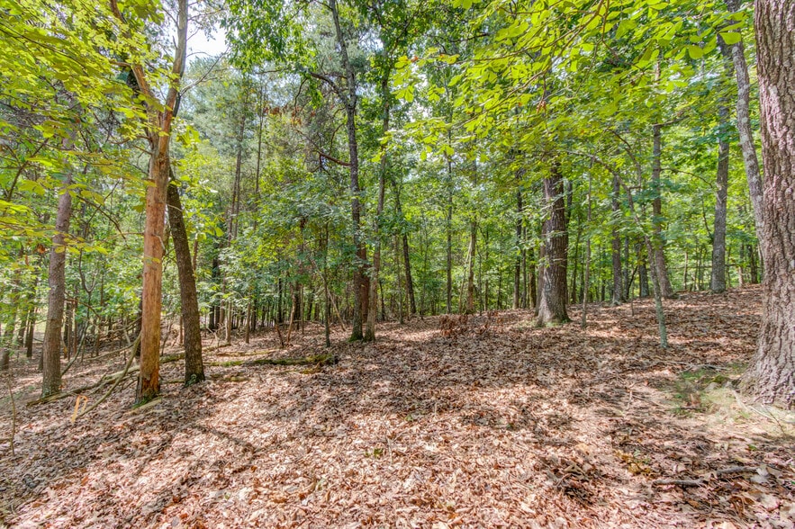 More Photos Of Shady Grove at Heard Rd, Cumming Land For Sale