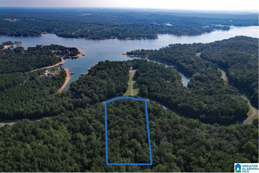 Primary Photo Of 221 Stoney Point Rd S, Double Springs Land For Sale