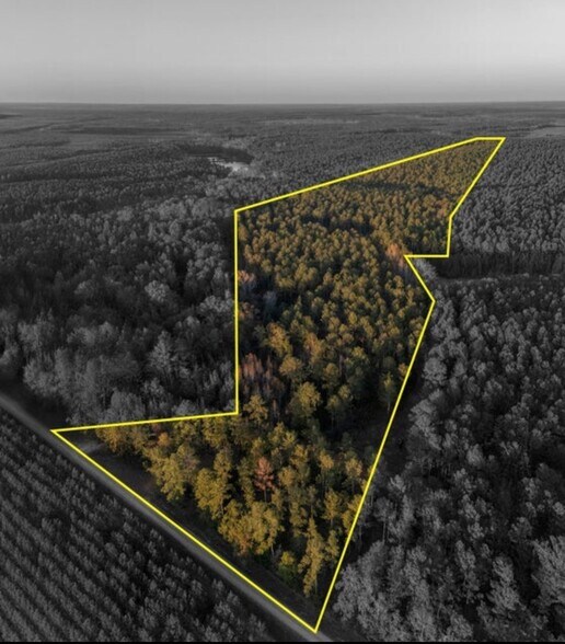 Primary Photo Of Tbd Barr Chapel Road, Edgefield Land For Sale