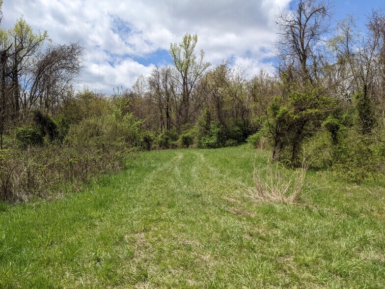 More Photos Of 266 Lucky Ln, Dawson Land For Sale