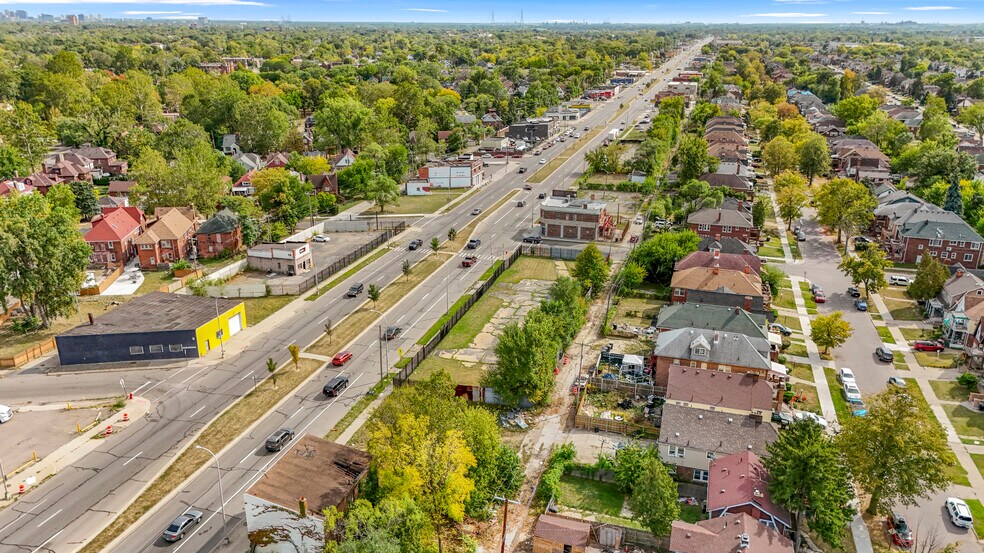 More Photos Of 13145 Livernois Ave, Detroit Land For Sale
