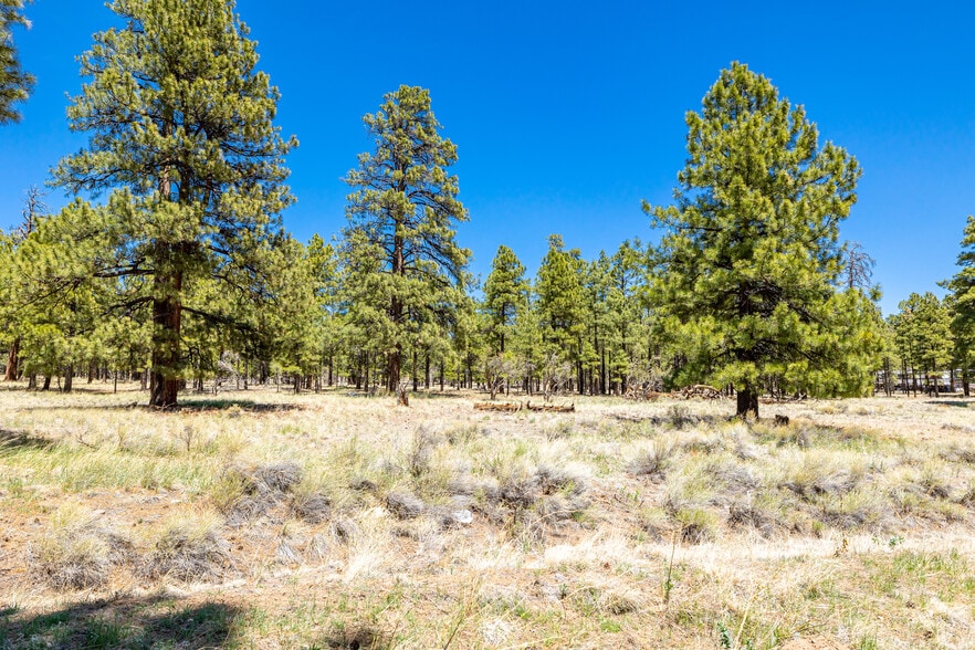 More Photos Of 6401 US-89, Flagstaff Religious Facility For Sale