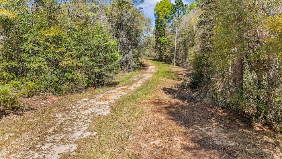 More Photos Of 7700 Iron Rush Rd, Wilmer Land For Sale